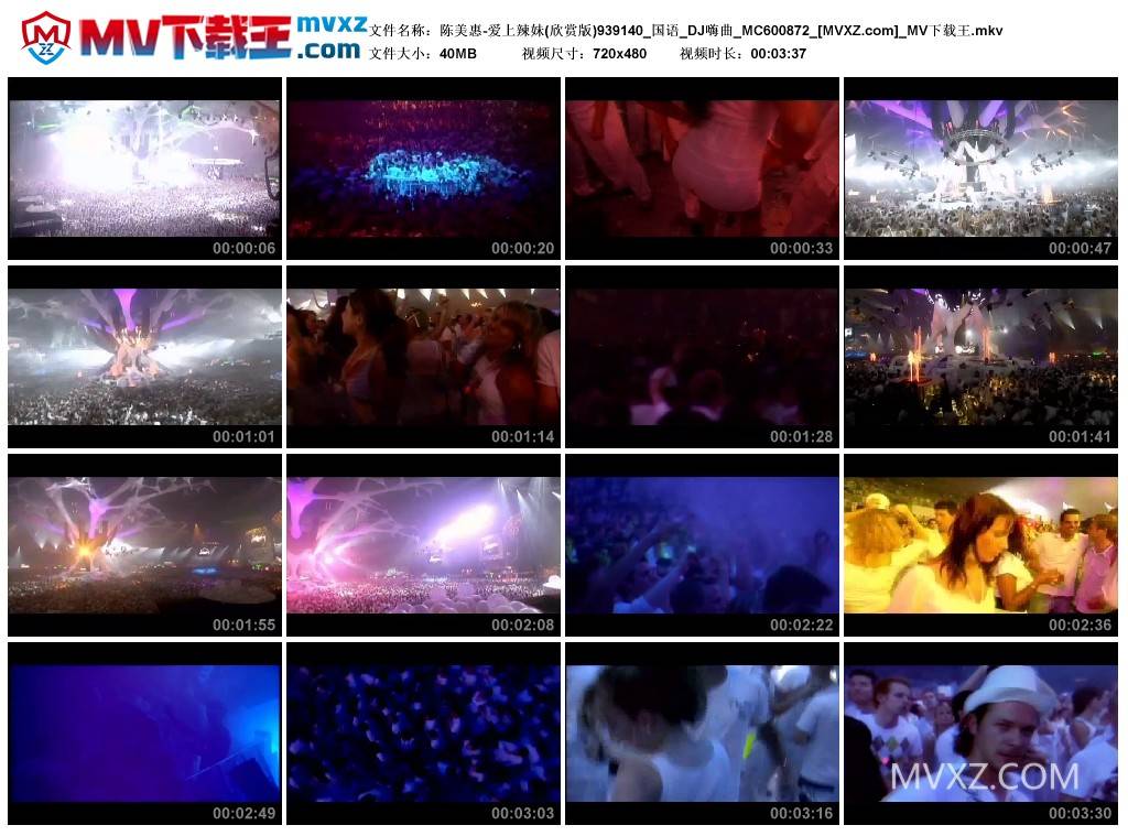 陈美惠-爱上辣妹(欣赏版)939140_国语_DJ嗨曲_MC600872